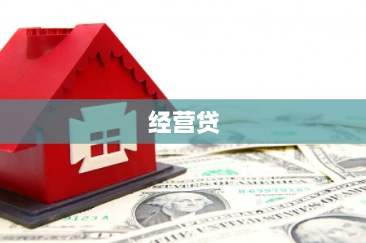 普湾新区经营贷
