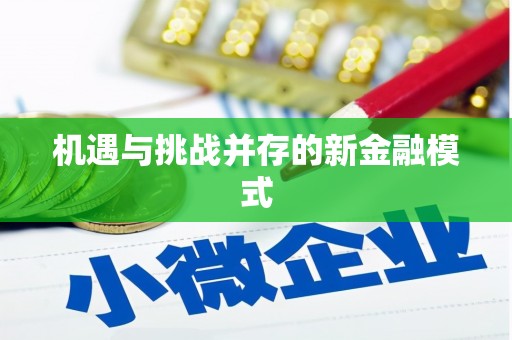 普湾新区机遇与挑战并存的新金融模式