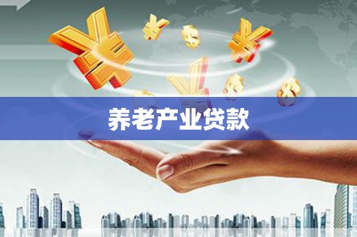 普湾新区养老产业贷款
