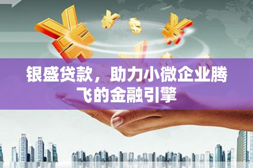 普湾新区银盛贷款，助力小微企业腾飞的金融引擎