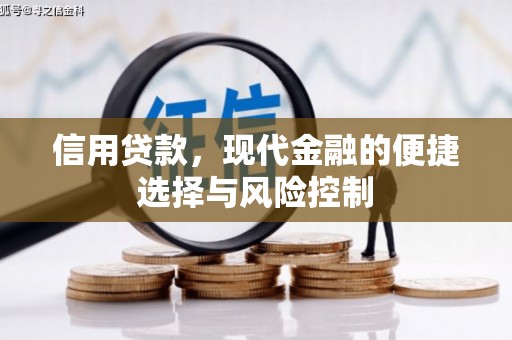 普湾新区信用贷款，现代金融的便捷选择与风险控制