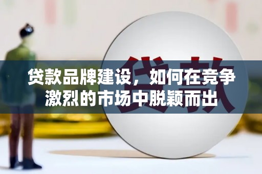 普湾新区贷款品牌建设，如何在竞争激烈的市场中脱颖而出