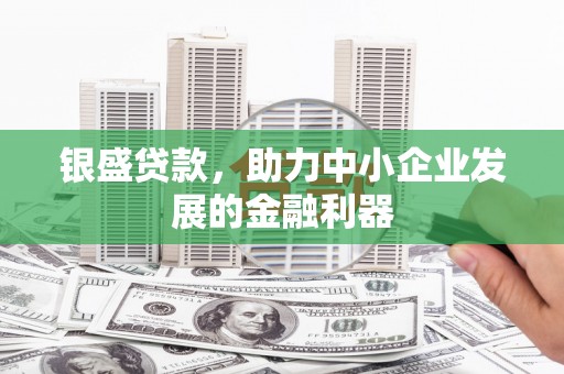 普湾新区银盛贷款，助力中小企业发展的金融利器