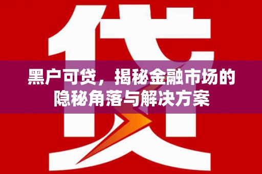 普湾新区黑户可贷，揭秘金融市场的隐秘角落与解决方案