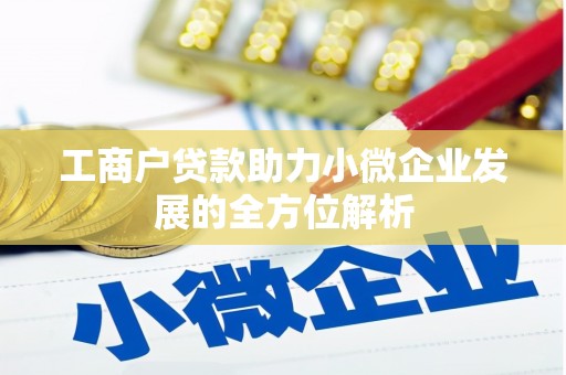 普湾新区工商户贷款助力小微企业发展的全方位解析