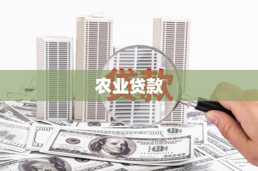 普湾新区农业贷款