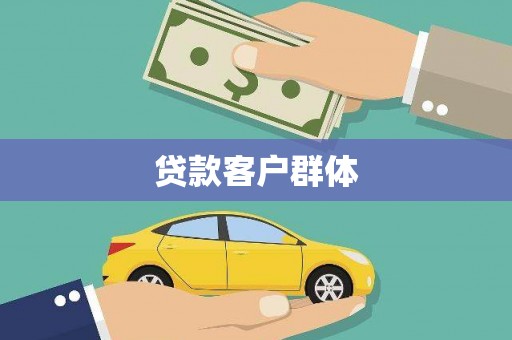 普湾新区贷款客户群体