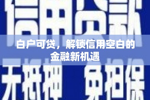 普湾新区白户可贷，解锁信用空白的金融新机遇