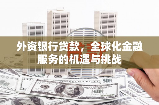 普湾新区外资银行贷款，全球化金融服务的机遇与挑战