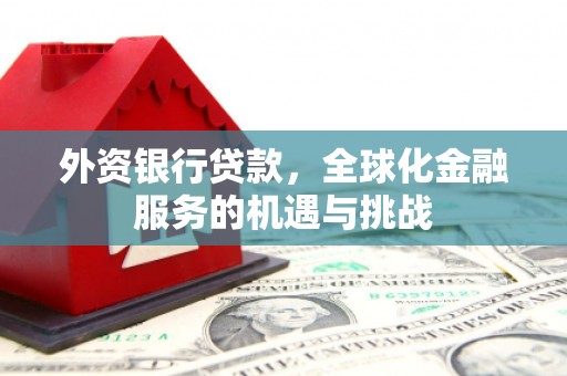 普湾新区外资银行贷款，全球化金融服务的机遇与挑战