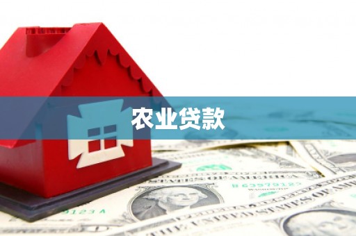 普湾新区农业贷款