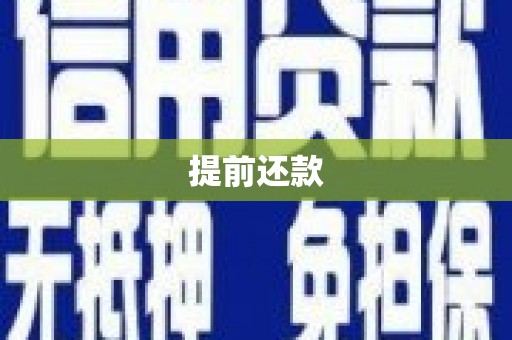 普湾新区提前还款