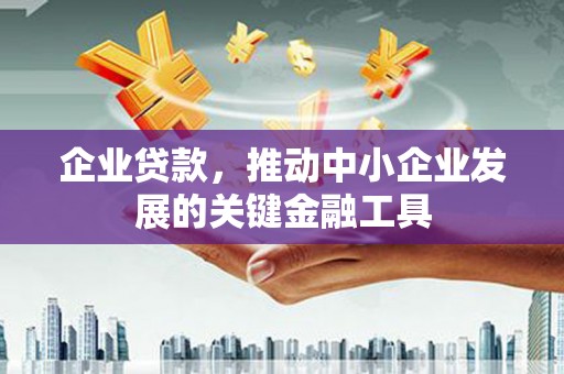 普湾新区企业贷款，推动中小企业发展的关键金融工具