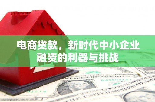 普湾新区电商贷款，新时代中小企业融资的利器与挑战
