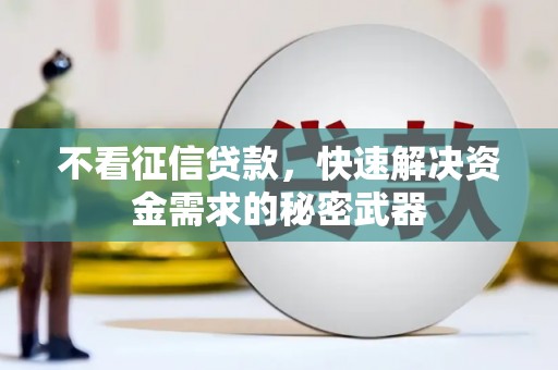 普湾新区不看征信贷款，快速解决资金需求的秘密武器