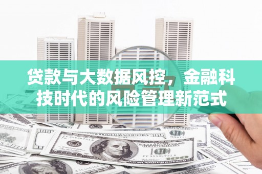 普湾新区贷款与大数据风控，金融科技时代的风险管理新范式