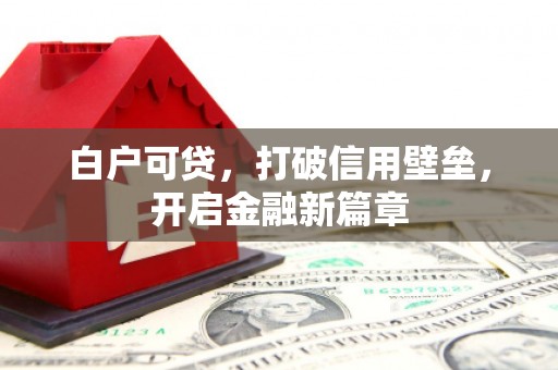 普湾新区白户可贷，打破信用壁垒，开启金融新篇章