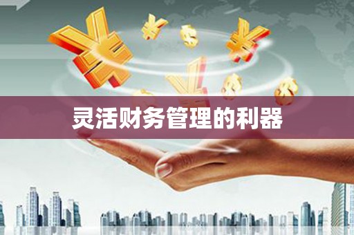 普湾新区灵活财务管理的利器