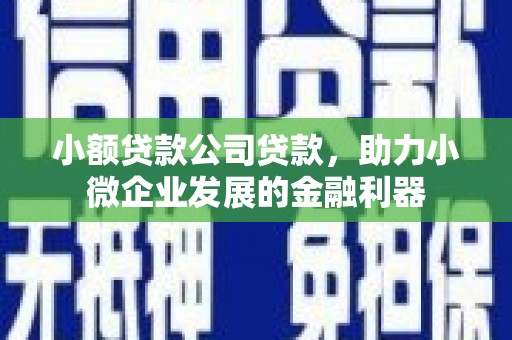 普湾新区小额贷款公司贷款，助力小微企业发展的金融利器