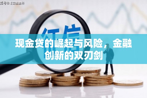 普湾新区现金贷的崛起与风险，金融创新的双刃剑