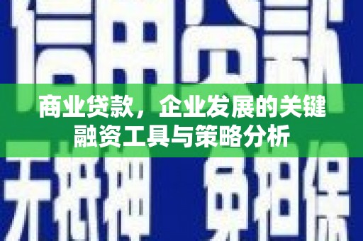 普湾新区商业贷款，企业发展的关键融资工具与策略分析