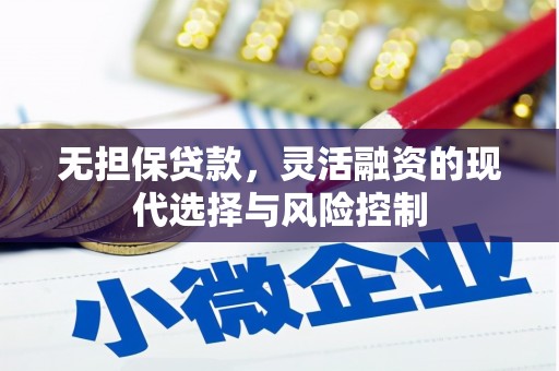 普湾新区无担保贷款，灵活融资的现代选择与风险控制