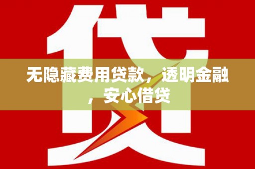 普湾新区无隐藏费用贷款，透明金融，安心借贷