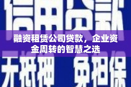 普湾新区融资租赁公司贷款，企业资金周转的智慧之选