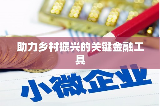 普湾新区助力乡村振兴的关键金融工具