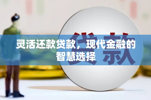 普湾新区灵活还款贷款，现代金融的智慧选择