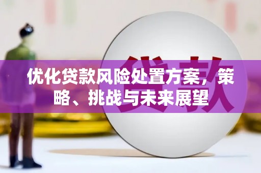 普湾新区优化贷款风险处置方案，策略、挑战与未来展望