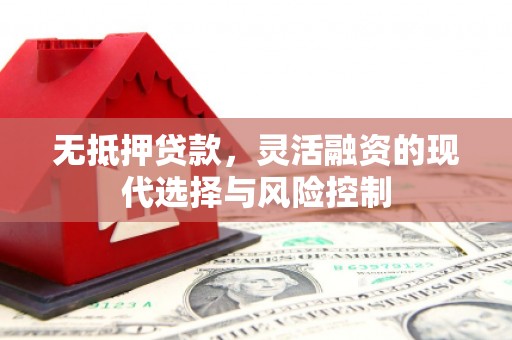 普湾新区无抵押贷款，灵活融资的现代选择与风险控制