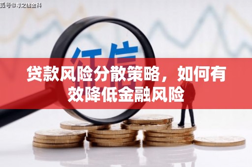 普湾新区贷款风险分散策略，如何有效降低金融风险