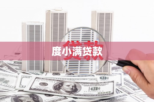 普湾新区度小满贷款