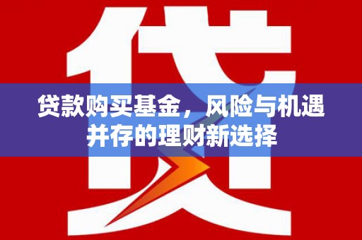 普湾新区贷款购买基金，风险与机遇并存的理财新选择