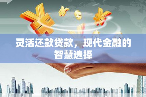 普湾新区灵活还款贷款，现代金融的智慧选择