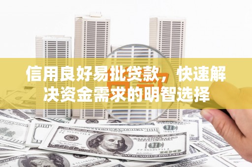 普湾新区信用良好易批贷款，快速解决资金需求的明智选择