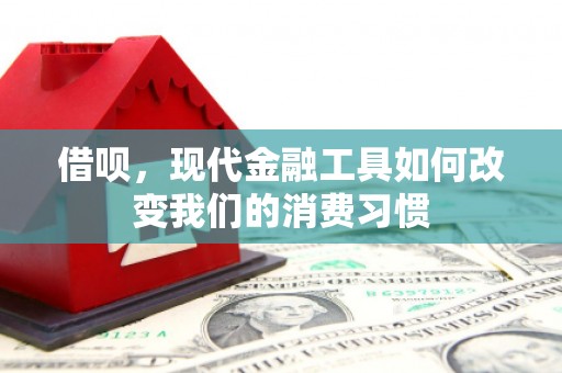普湾新区借呗，现代金融工具如何改变我们的消费习惯