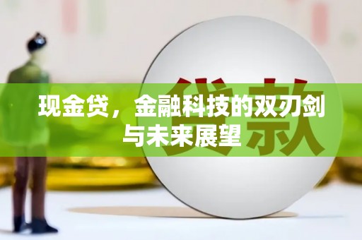 普湾新区现金贷，金融科技的双刃剑与未来展望