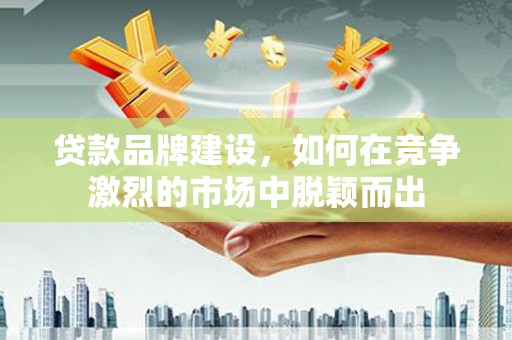 普湾新区贷款品牌建设，如何在竞争激烈的市场中脱颖而出