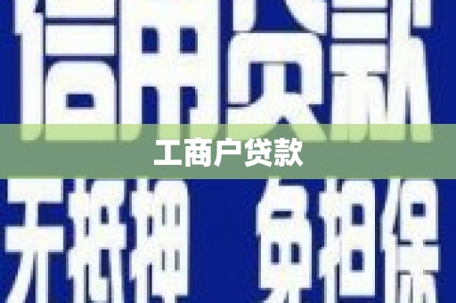 普湾新区工商户贷款