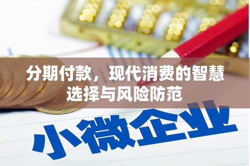 普湾新区分期付款，现代消费的智慧选择与风险防范
