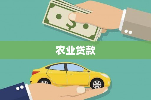 普湾新区农业贷款