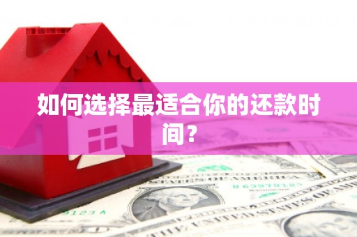 普湾新区如何选择最适合你的还款时间？