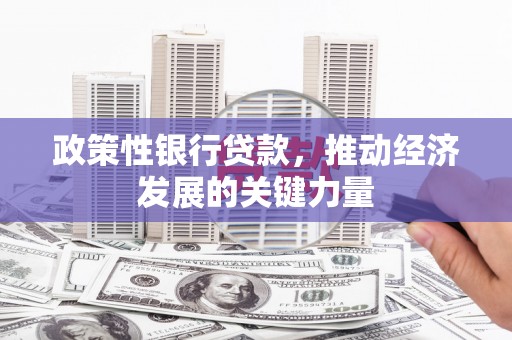 普湾新区政策性银行贷款，推动经济发展的关键力量