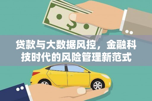 普湾新区贷款与大数据风控，金融科技时代的风险管理新范式