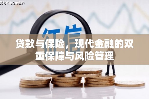 普湾新区贷款与保险，现代金融的双重保障与风险管理