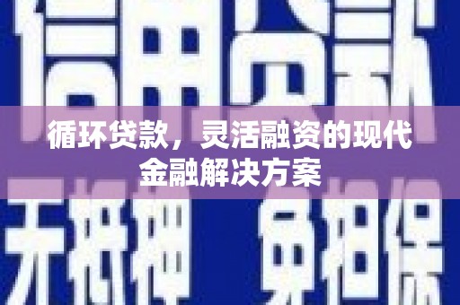 普湾新区循环贷款，灵活融资的现代金融解决方案