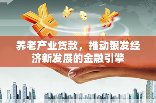 普湾新区养老产业贷款，推动银发经济新发展的金融引擎