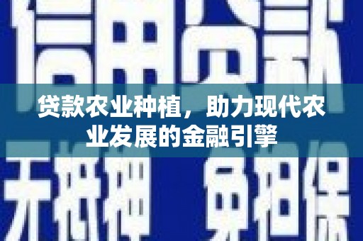 普湾新区贷款农业种植，助力现代农业发展的金融引擎